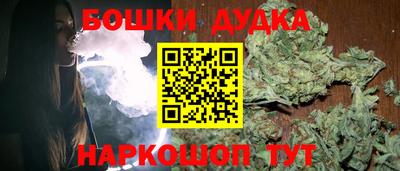 прущие грибы Будённовск