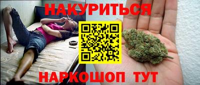 прущие грибы Будённовск