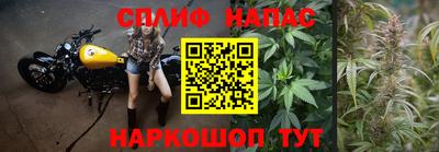 прущие грибы Будённовск