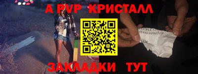 прущие грибы Будённовск