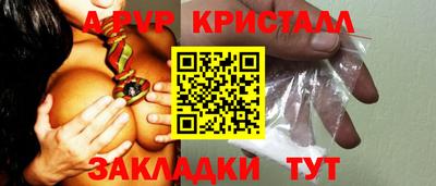 прущие грибы Будённовск
