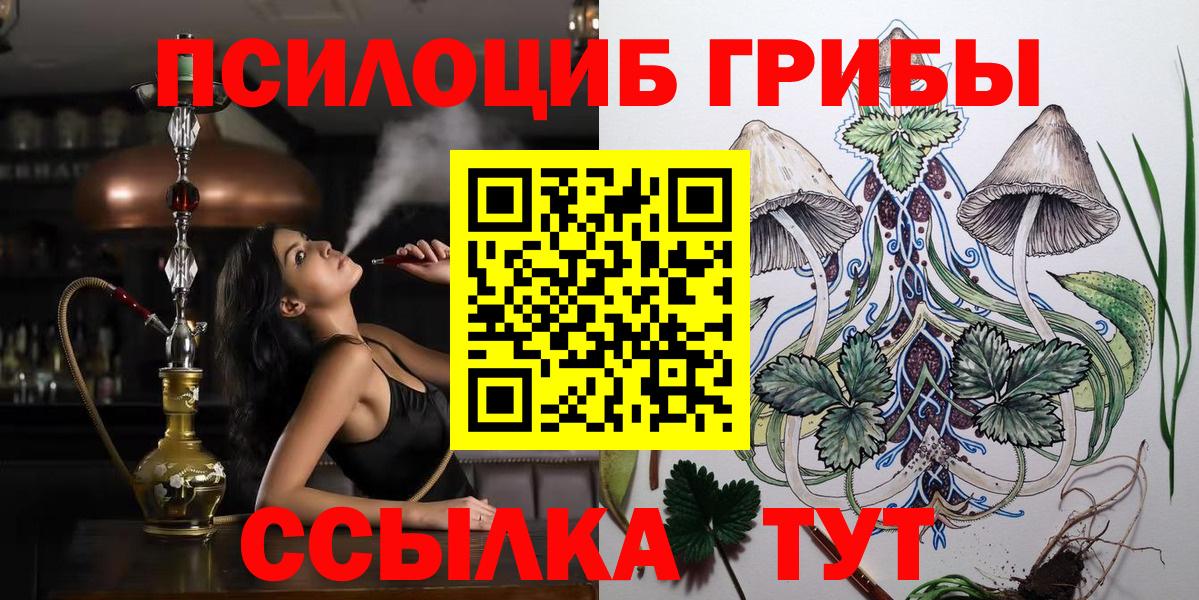 Псилоцибиновые грибы Cubensis Саяногорск